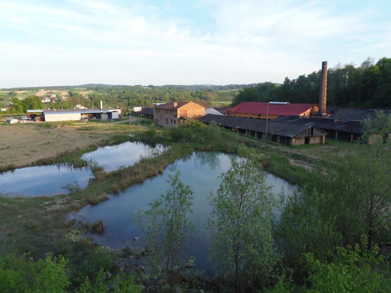 widok oglny